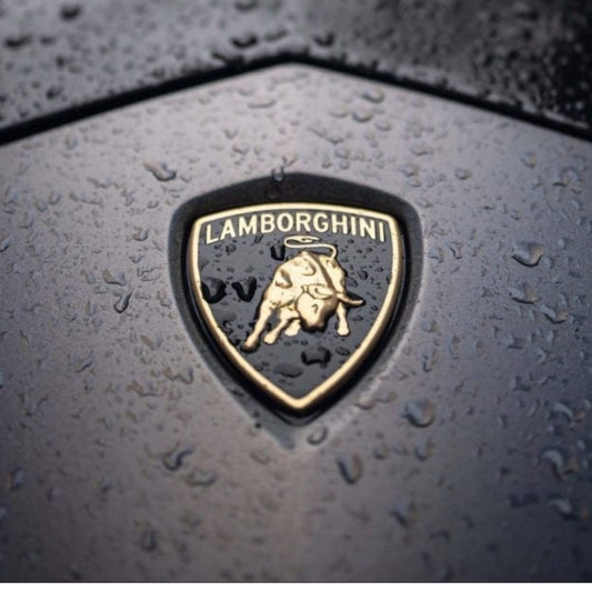 Logo Lamborghini