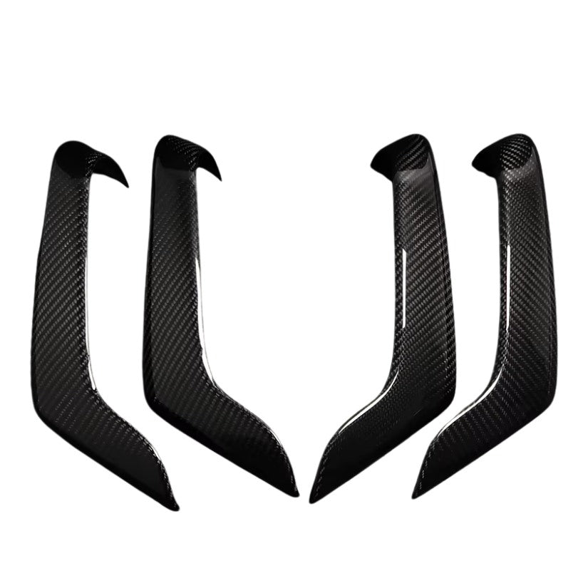 Inserts Carbone Class A W177
