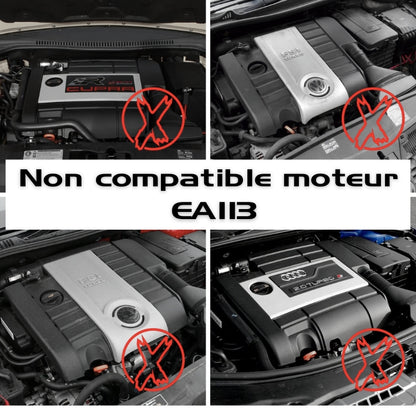 Admission Air Directe 1.8T 2.0T EA888.2 Audi / Golf 6